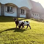 Alojamento de Acomodação e Pequeno-almoço D'hôtes Stellina Avec Vue Sur Jardin Arboré