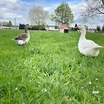 Alojamento de Acomodação e Pequeno-almoço D'hôtes Stellina Avec Vue Sur Jardin Arboré Tournai
