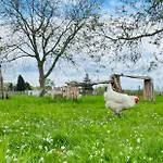 D'hôtes Stellina Avec Vue Sur Jardin Arboré Alojamento de Acomodação e Pequeno-almoço 3*