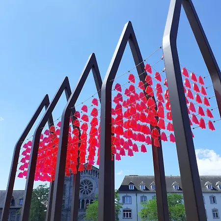 D'hotes Stellina Avec Vue Sur Jardin Arbore 3* Tournai