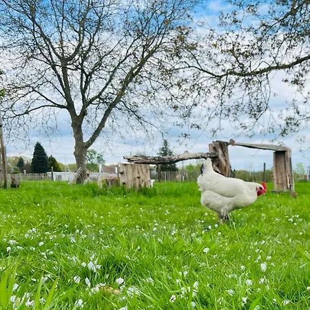 D'hotes Stellina Avec Vue Sur Jardin Arbore Frühstückspension 3*